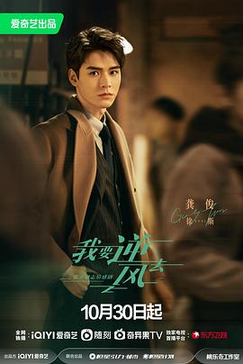 禅城seo推广优化企业